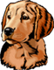 Maitland Dog Obedience Club Inc.